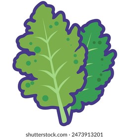 Kale vegetable cartoon icon vector illustration, healthy green leafy vegetables