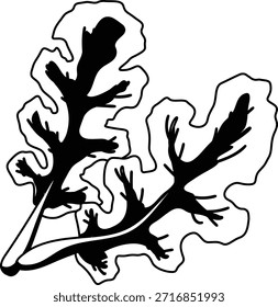 Kale vegetable mono shadow illustration
