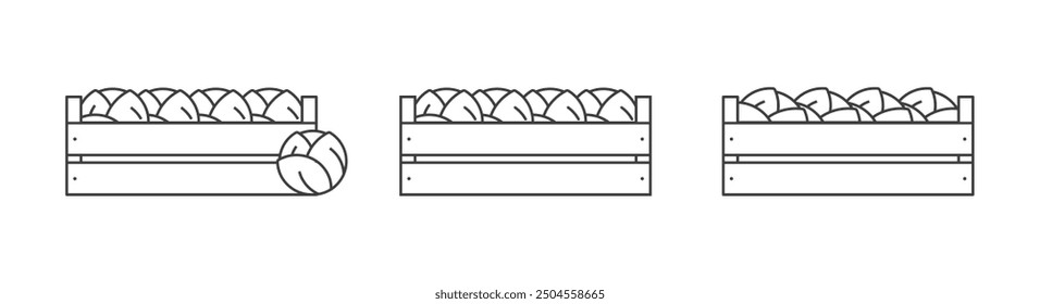 Kale en un contorno de iconos de caja de madera. Verduras en un icono de línea de caja de madera. Aislado en repollo blanco.