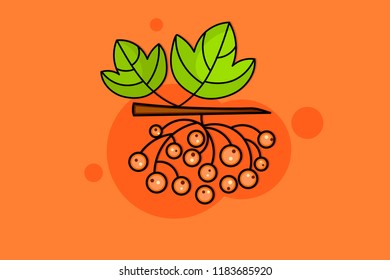 Kalina fruit branch sketch with red berry and green leaf. Illustration