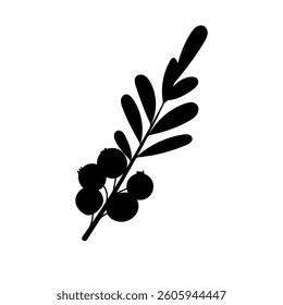 Kalina. icon. Outline, black and white. Line art. Doodles. Emblem, icon, silhouette. Vector