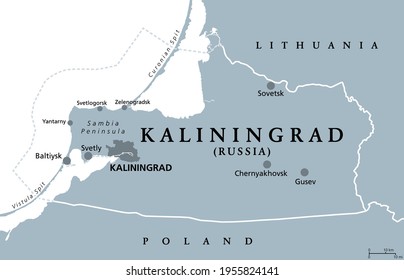 Kaliningrad Region, gray political map. Kaliningrad Oblast, federal subject and semi-enclave of Russia, located on the coast of Baltic Sea, with administrative centre Kaliningrad. Illustration. Vector