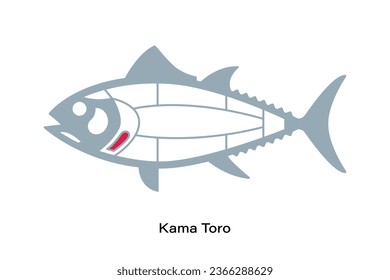 Kama Toro. Tuna Cuts line diagram.  Japanese style