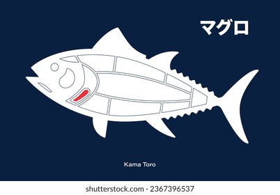 Kama Toro, Tuna japanese Cuts diagram on blue background.