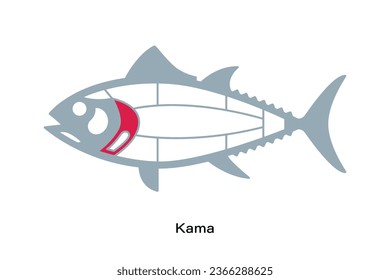 Kama. Tuna Cuts line diagram.  Japanese style