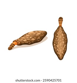 Kamitetep or Plaster Bagworm (Phereoeca Uterella) Insect Species Cartoon Illustration Vector