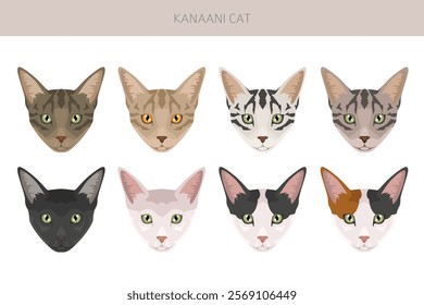 Kanaani Cat clipart. All coat colors set.  All cat breeds characteristics infographic. Vector illustration