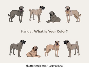 Kangal Shepherd colors. Cute kangal dogs characters in various poses, design for print, adorable and cute cartoon vector set, in different poses. All popular colors. Dog Drawing collection set.