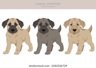 Kangal Shepherd dog puppy clipart. Different coat colors set.  Vector illustration