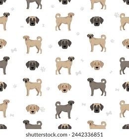 Kangal Shepherd dog seamless pattern. Different coat colors set.  Vector illustration