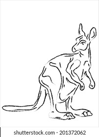 Kangaroo