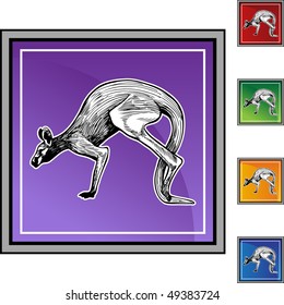 Kangaroo