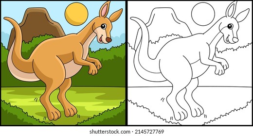 Kangaroo Animal Coloring Page Colored Illustration