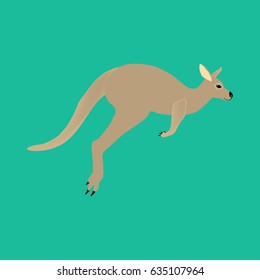 Kangaroo animal illustration on the green background. Vector illustration