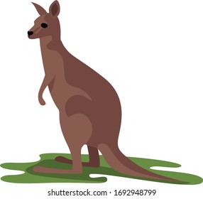 Kangaroo animal, illustration, vector on white background