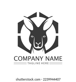 kangaroo animal logo and design vector illustrtion