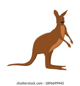 Kangaroo For Animal Vector Illustration