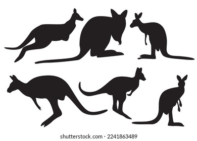 Vector animal canguro. mamíferos que tienen características de chat en forma de bolsa (marsupiales). Estos animales incluyen animales típicos australianos