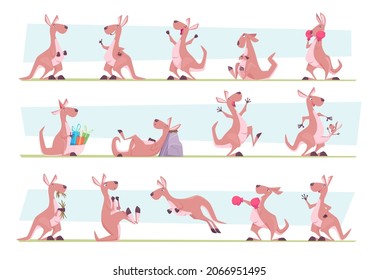 Kangaroo. Australia authentic animals jumping in wild flora exact vector animal character in various poses