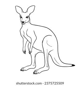 El canguro es un animal australiano. Libro de colorear para niños. Ilustración del vector