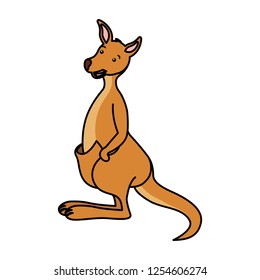 kangaroo australian fauna on white background