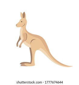 Kangaroo australian marsupial animal isolated on white background. Stock vector illustration in flat style.