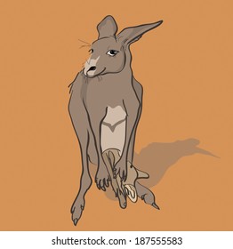 Kangaroo with baby kangaroo