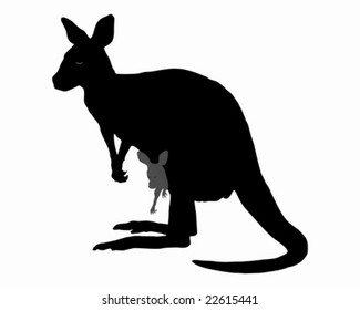 Kangaroo with baby