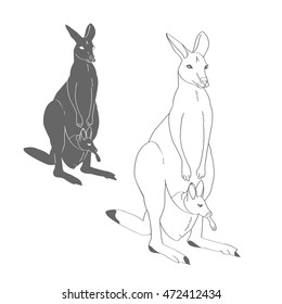 Kangaroo With A Baby In A Bag. Wild Australian Animals. Marsupial Mammals With Powerful Legs And A Massive Tail. Sketch. Coloring Book. Vector.