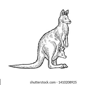 Kangaroo with baby cub in kangaroo pouch animal sketch engraving vector illustration. Scratch board style imitation. Black and white hand drawn image.