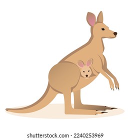 Kangaroo with a baby kangaroo on a white background. Vector illustration