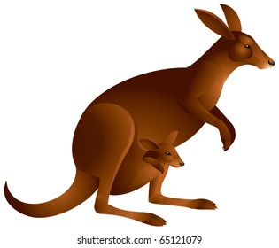 Kangaroo with the baby in vector, Marsupial, Australian animal, national symbol of Australia, bush, zoo, wildlife, nature