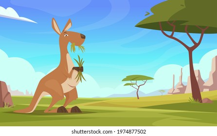 Kangaroo background. Cartoon australian landscape with wildlife animals kangooroo plants and rocks exact vector illustrations