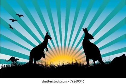 kangaroo and blue rays