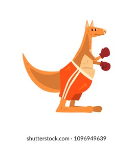 Kangaroo boxer with boxing gloves, funny sportive wild animal character doing sports vector Illustration on a white background