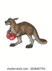 Boxeo Kangaroo Boxer Australia Vector ilustración