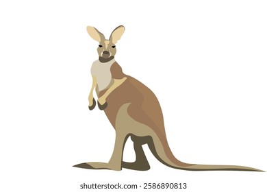 Kangaroo in brown and beige tones. Australian wildlife animal standing with strong legs and long tail in minimalistic and modern design. Flat vector illustration isolated on transparent background.