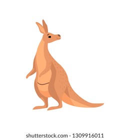 Kangaroo, Brown Wallaby Australian Animal Character Vector Illustration