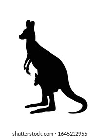 Kangaroo carrying a cute baby, silhoutte kangaroo withe baby . 