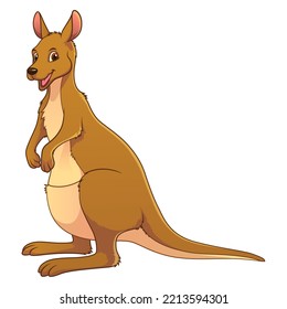 Kangaroo Cartoon Animal Illustration Color