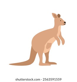 Kangaroo cartoon clipart. Kangaroo vector illustration in flat style. Hand-drawn wild animal concept