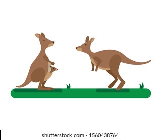 kangaroo cartoon illustration icon editable vector