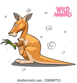 kangaroo cartoon isolated on white