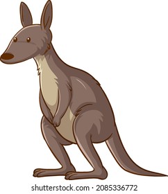 Kangaroo cartoon on white background illustration