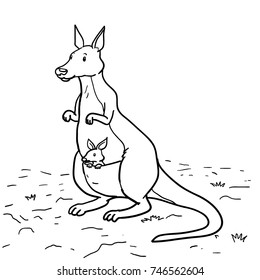 Kangaroo cartoon vector hand drawn