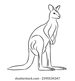 Kangaroo cartoon, vector illustration, kangaroo icon isolated on white background. Line art.