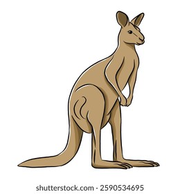 Kangaroo cartoon, vector illustration, kangaroo icon isolated on white background.