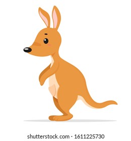 Kangaroo cartoon vector. Kangaroos are the national animal of Australia. isolate on white background.