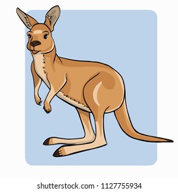 Kangaroo character on blue background. Funny kangaroo.