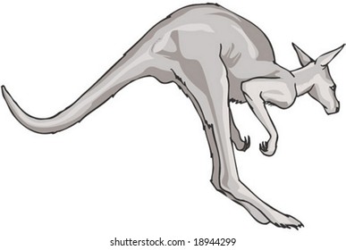 Kangaroo Character on white background